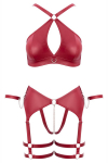 Ensemble BDSM bordeaux - Cotelli Bondage